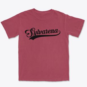 Sylvarena Mississippi Vintage Team Premium Heavyweight T-shirt