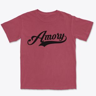 Amory Mississippi Vintage Team Premium Heavyweight T-shirt