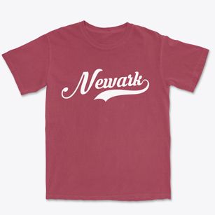 Newark Delaware Vintage Team Premium Heavyweight T-shirt
