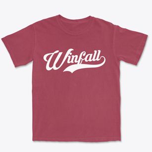 Winfall North Carolina Vintage Team Premium Heavyweight T-shirt