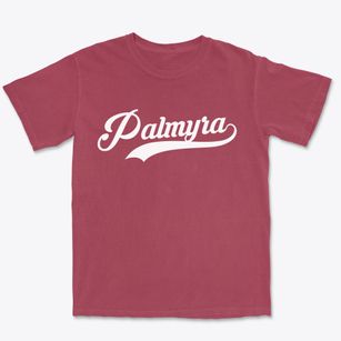 Palmyra Nebraska Vintage Team Premium Heavyweight T-shirt