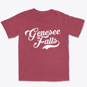 Genesee Falls New York Vintage Team Premium Heavyweight T-shirt