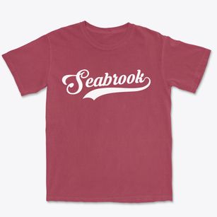 Seabrook Maryland Vintage Team Premium Heavyweight T-shirt
