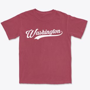 Washington Arkansas Vintage Team Premium Heavyweight T-shirt
