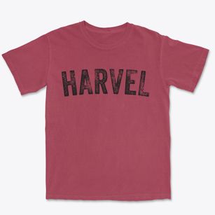 Harvel Illinois Timeless Retro Premium Heavyweight T-shirt