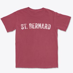 St. Bernard Ohio Timeless Retro Premium Heavyweight T-shirt