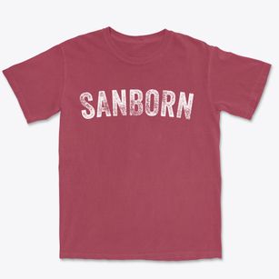 Sanborn Iowa Timeless Retro Premium Heavyweight T-shirt