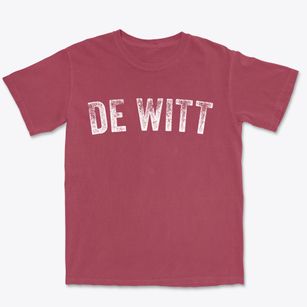 De Witt Nebraska Timeless Retro Premium Heavyweight T-shirt