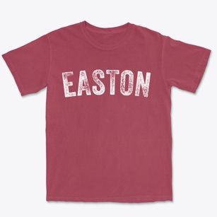 Easton New Hampshire Timeless Retro Premium Heavyweight T-shirt