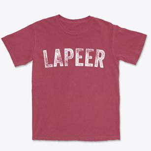 Lapeer Michigan Timeless Retro Premium Heavyweight T-shirt