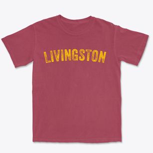 Livingston New York Timeless Retro Premium Heavyweight T-shirt