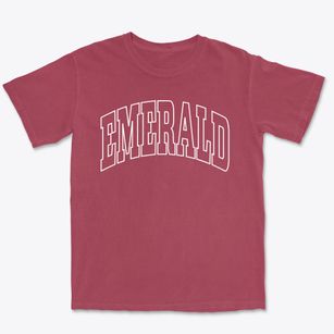 Emerald Wisconsin Trendy Block Premium Heavyweight T-shirt
