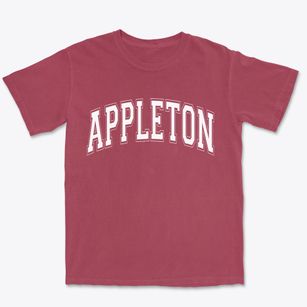 Appleton Wisconsin Varsity Premium Heavyweight T-shirt