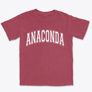 Anaconda Montana Varsity Premium Heavyweight T-shirt