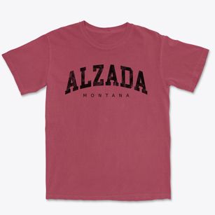 Alzada Montana Urban Vibe Premium Heavyweight T-shirt