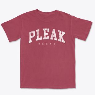 Pleak Texas Urban Vibe Premium Heavyweight T-shirt