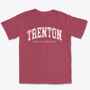 Trenton North Carolina Urban Vibe Premium Heavyweight T-shirt
