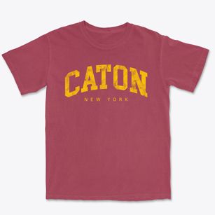 Caton New York Urban Vibe Premium Heavyweight T-shirt