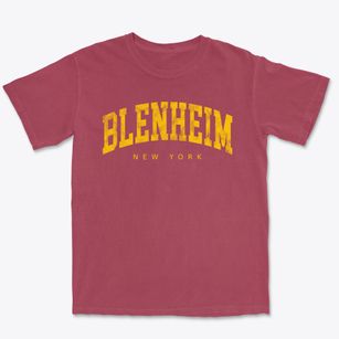 Blenheim New York Urban Vibe Premium Heavyweight T-shirt