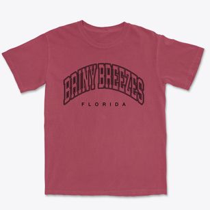 Briny Breezes Florida Inline Premium Heavyweight T-shirt