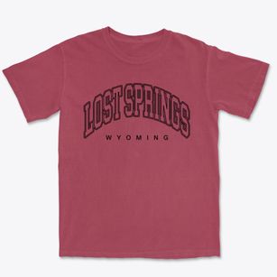 Lost Springs Wyoming Inline Premium Heavyweight T-shirt