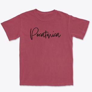 Pecatonica Illinois Freestyle Premium Heavyweight T-shirt