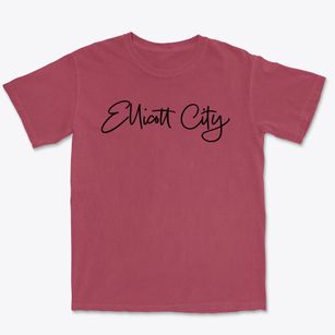Ellicott City Maryland Freestyle Premium Heavyweight T-shirt