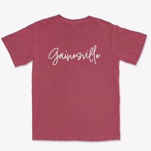 Gainesville Florida Freestyle Premium Heavyweight T-shirt