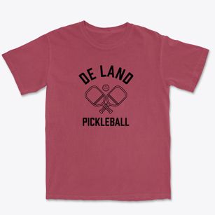 De Land Illinois Pickleball Premium Heavyweight T-shirt
