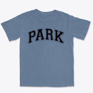Park Elementary School Varsity Arch Premium Heavyweight T-shirt