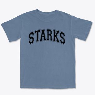 Starks High School Varsity Arch Premium Heavyweight T-shirt