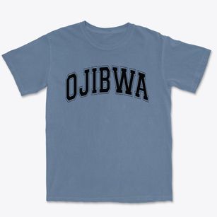 Ojibwa Elementary School Varsity Arch Premium Heavyweight T-shirt