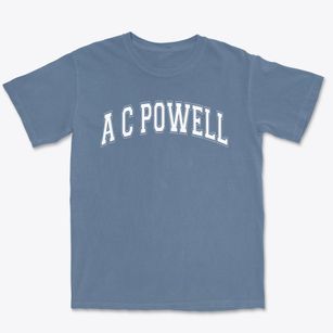 A C Powell Junior Paideia Community Varsity Arch Premium Heavyweight T-shirt