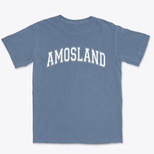 Amosland Elementary School Varsity Arch Premium Heavyweight T-shirt