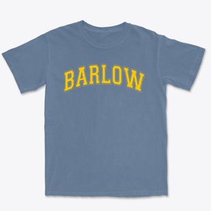 Joel Barlow High School Varsity Arch Premium Heavyweight T-shirt