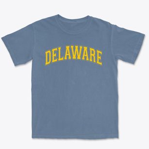 Delaware Academy School Varsity Arch Premium Heavyweight T-shirt