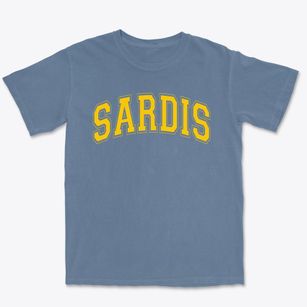 Sardis Elementary School Varsity Arch Premium Heavyweight T-shirt