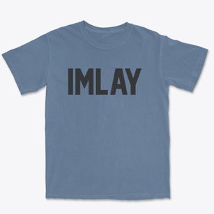 Imlay Nevada Classic Block Premium Heavyweight T-shirt