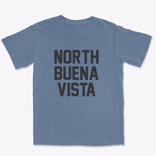 North Buena Vista Iowa Classic Block Premium Heavyweight T-shirt