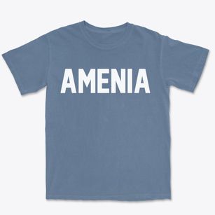 Amenia New York Classic Block Premium Heavyweight T-shirt