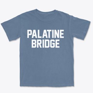 Palatine Bridge New York Classic Block Premium Heavyweight T-shirt