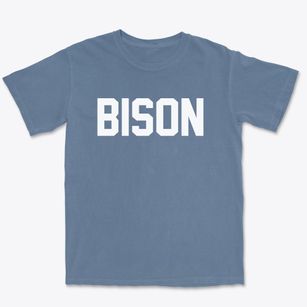 Bison South Dakota Classic Block Premium Heavyweight T-shirt