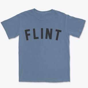 Flint Michigan Classic Curve Premium Heavyweight T-shirt