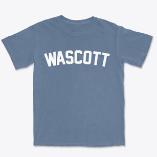 Wascott Wisconsin Classic Curve Premium Heavyweight T-shirt