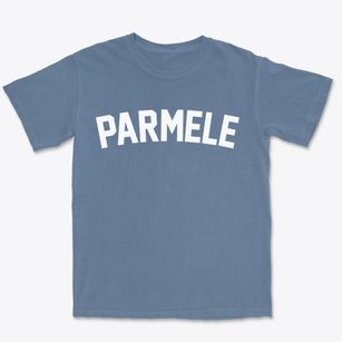 Parmele North Carolina Classic Curve Premium Heavyweight T-shirt
