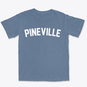 Pineville Arkansas Classic Curve Premium Heavyweight T-shirt