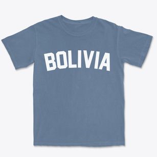 Bolivia North Carolina Classic Curve Premium Heavyweight T-shirt