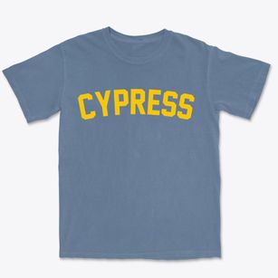 Cypress Illinois Classic Curve Premium Heavyweight T-shirt