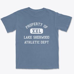 Lake Sherwood Wisconsin Athletic Dept Premium Heavyweight T-shirt
