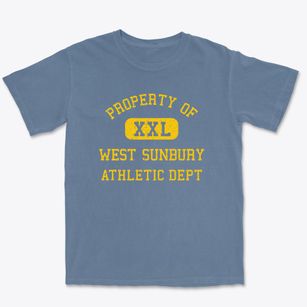 West Sunbury Pennsylvania Athletic Dept Premium Heavyweight T-shirt